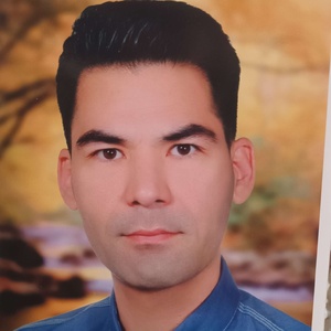 مهدی پاینده