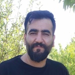 وحید شاهی