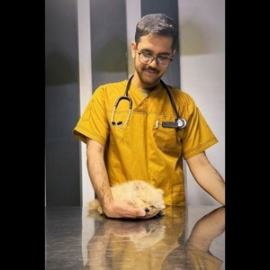 ابوالفضل علی زاده