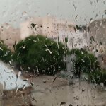 فاطمه کوچکی