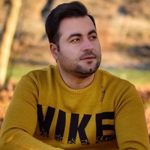 حمید داودی