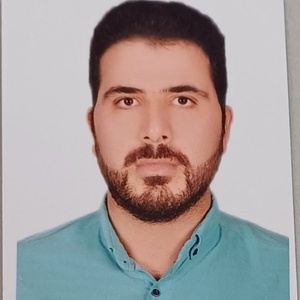 مهدی رفیعی