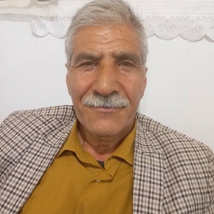 محمد ربیعی