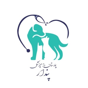 پژمان کازرونی