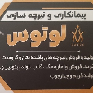 سید هومن میربزرگی