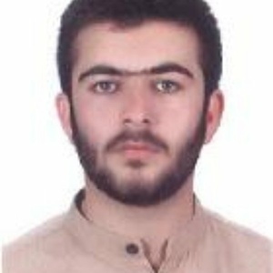 حسن ناصری