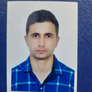 رضا نجفی
