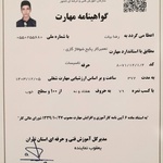 رضا بیات