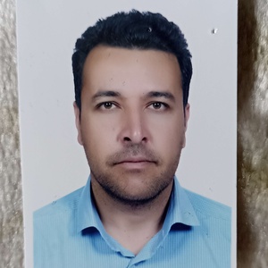 مجتبی دلاور