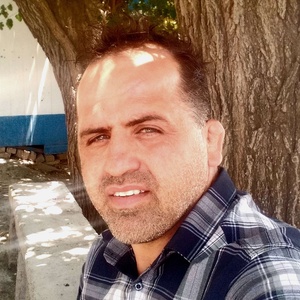 پیمان شاهرخی فر