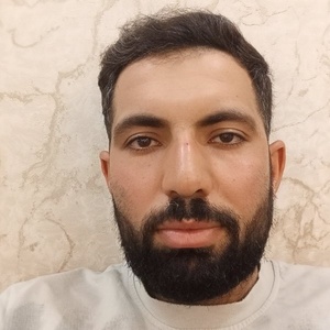 هادی محرمی
