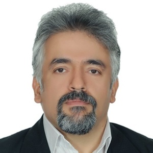 آریان حامد