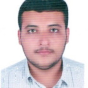 حامد محمدزاده