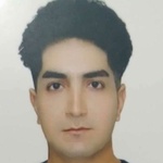 حامد محمودنژاد