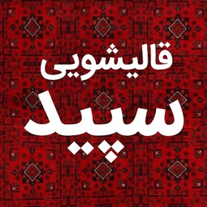 امین امیری