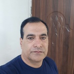 وحید منصوری