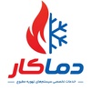 امیر مصباحی