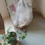 رحیم سجودی ملایی