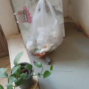 رحیم سجودی ملایی