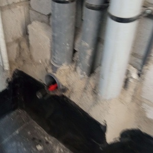 رامتین توفیقی