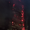 مصیب علی مرادی