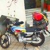 عکس کاربر حسین عبدلی