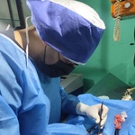 پویا مولائی