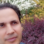 سعید اسمعیلی