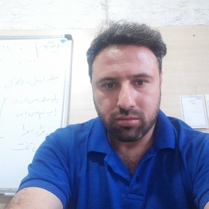 سیدمحسن رضوی