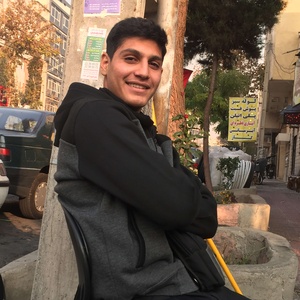 فربد نامداری