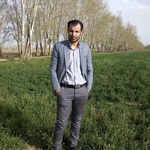 محمد داودی