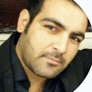 مهدی علیپور گوگرچین