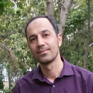 امیر افشارفر