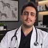 محمد محمدی نژاد