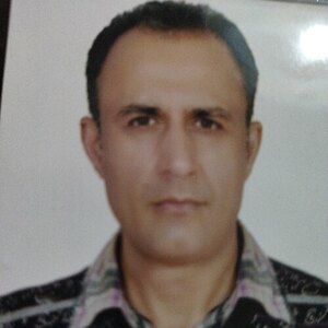 مجید محرمی