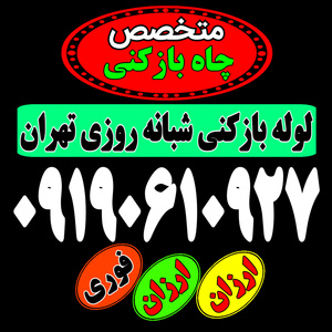 مجید امامی