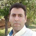 محمدرضا حسین زاده
