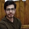 شاهین دانیالی