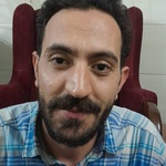حسن مبارکی