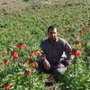 جهانگیر احمدی