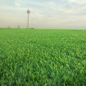 سجاد ملائی