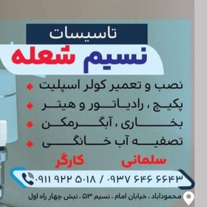 داریوش سلمانی
