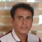 حمید والی زاده