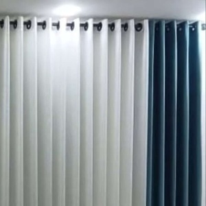 علیرضا ایراندوست