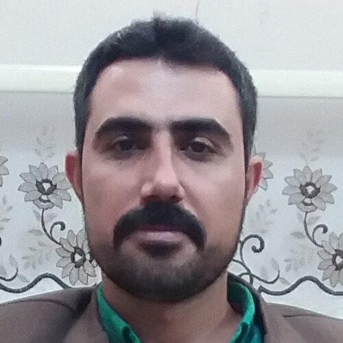 مرتضی امیری