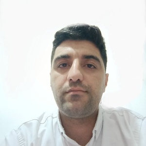 حسین شیخ بیرقی