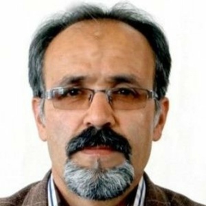 سید حسن بدیعی نامقی