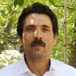شاپور مرادی