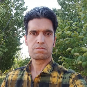 سید حجت سرور