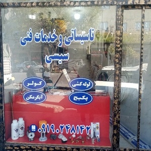 رضا پوربیرام سیسی